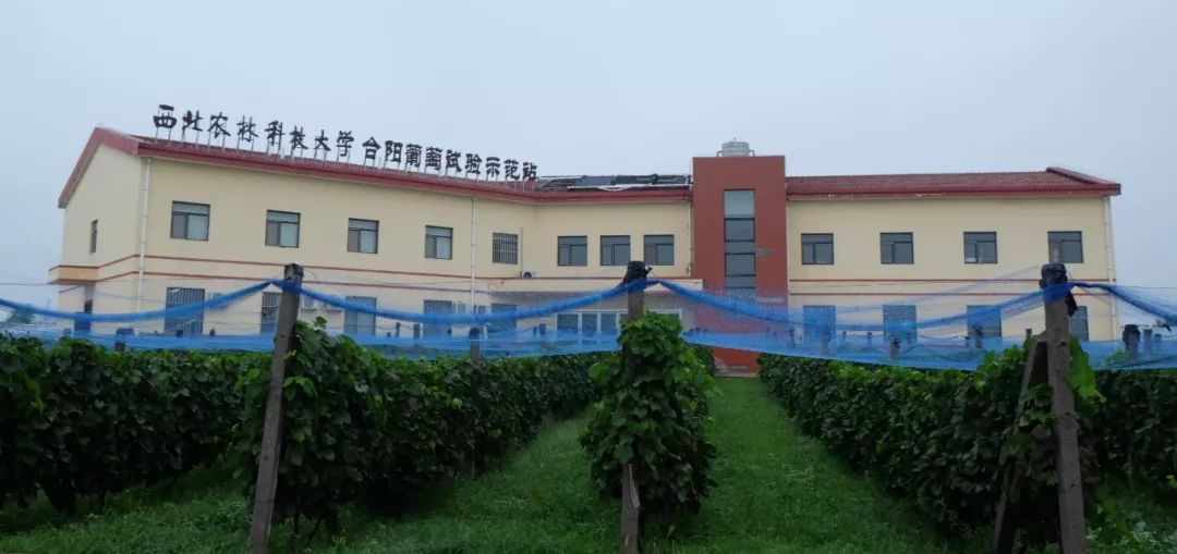 详细阅读:Yabo-包含辽宁本钢内部会议纪要流出——转会期遗憾出局,葡超使命明确,数据趋势出现新变化的词条-Yabo Yabo-包含辽宁本钢内部会议纪要流出——转会期遗憾出局,葡超使命明确,数据趋势出现新变化的词条-Yabo